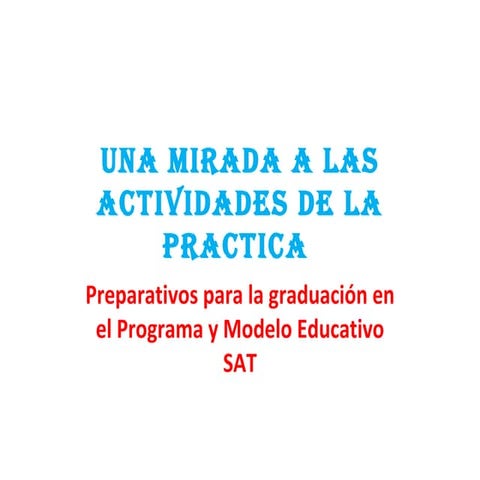Practica Profesional en SAT