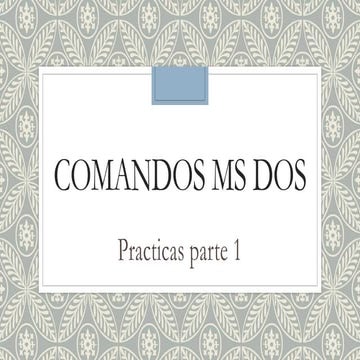 Practicas MS DOS