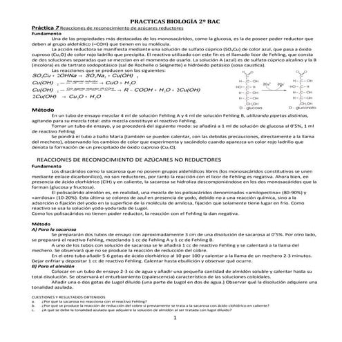 Practica laboratorio bioelementos | DOC