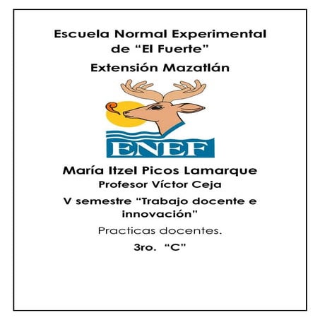 Practicas noviembre renato vega amador 