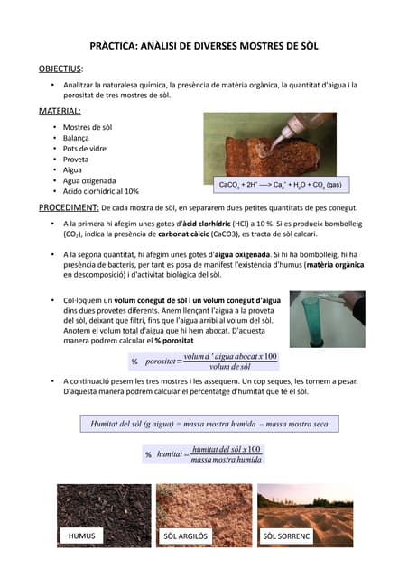Certificate and Transcript | PDF