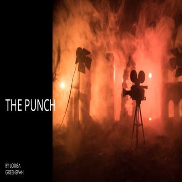 louisa greenspans practice proposal "the punch"