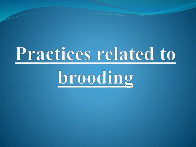 Brooding and management | PPTX