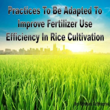 Practices to be adapted to improve fertilizer use efficiency in rice cultivation