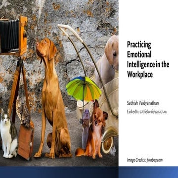 Practicing Emotional Intelligence in the Workplace