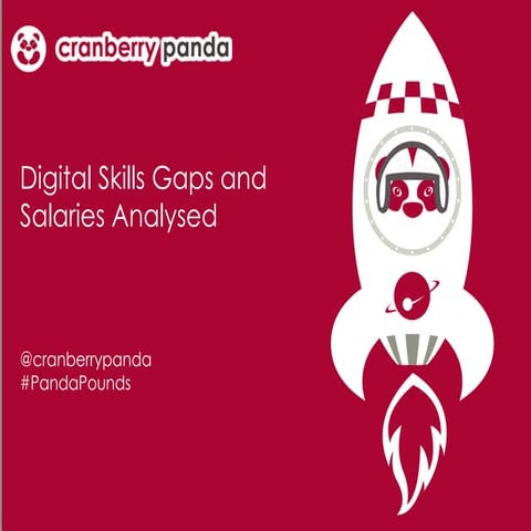 Practicology Conference - Cranberry Panda digital skills & salaries presentation