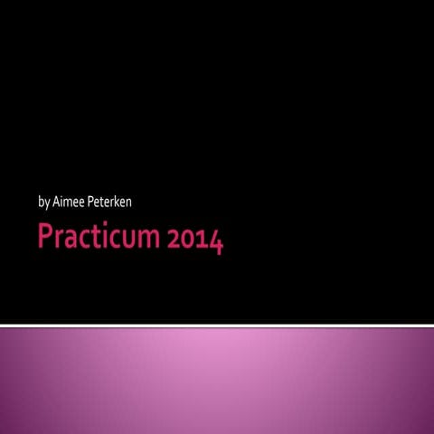 Practicum 2014 