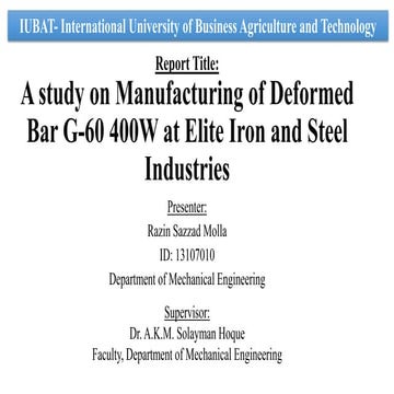 BSME Practicum defense razin