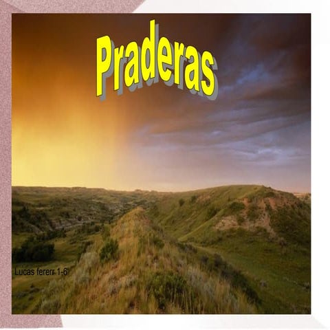 Pradera