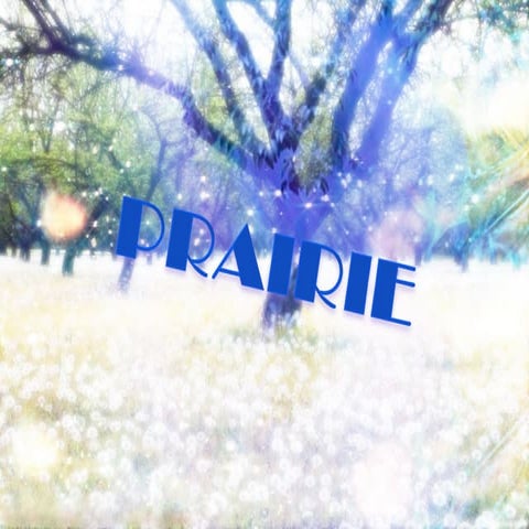 Prairie Eco
