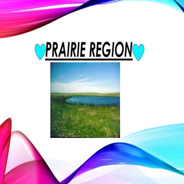 Prairie region Alyssa