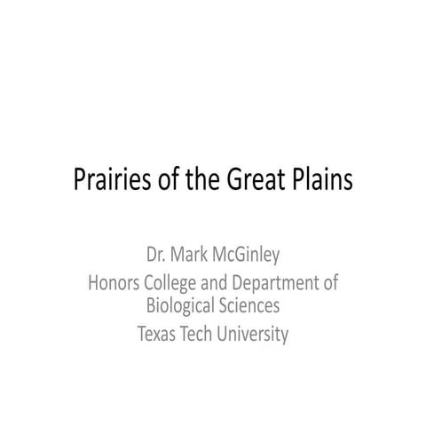 Prairies of the great plains