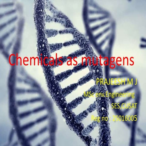 Physical and chemical mutagen copy | PPTX