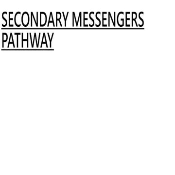 secondary messengers
