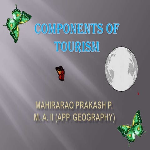 Components of Tourism
