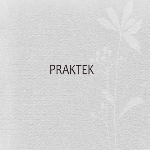 Praktek
