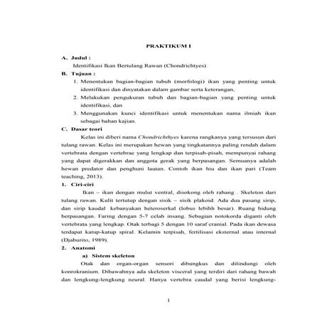 Laporan Praktikum 1 Chondrichtyes