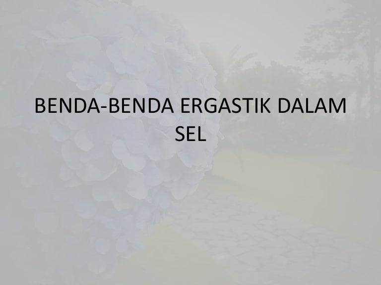 kvarclámpa elpusztítja a parazitákat a paraziták testének megtisztítását jelenti