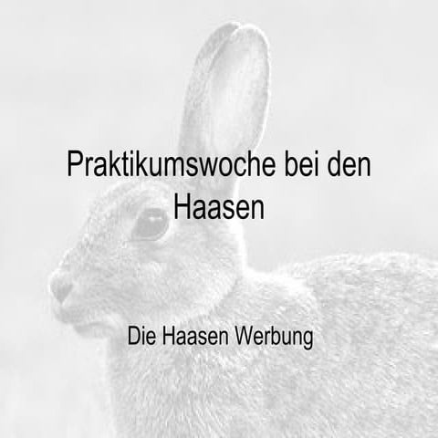 Die Haasen Werbung - Kevin S.
