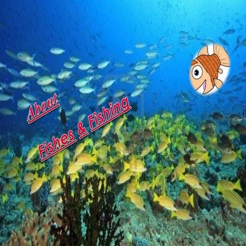 fishes and fishermans