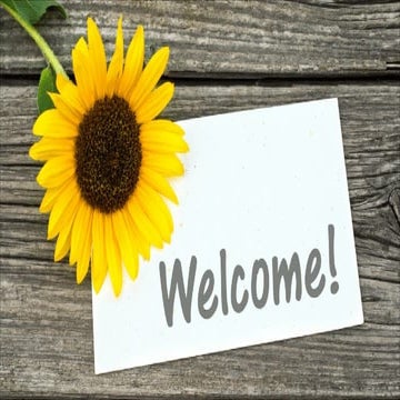 synopsis in psychological  in bachelor lor