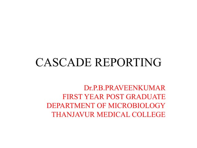 PRAVEEN CASCADE REPORTING  PRESENTATION.pptx