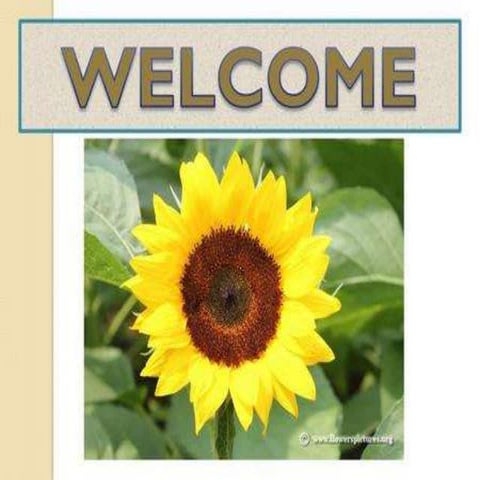 Effect of Bio and Chemical Fertilization on Growth, Yield and Quality of Sunf...