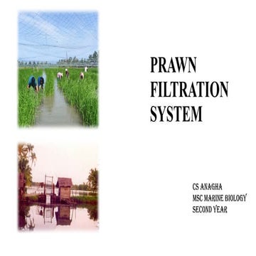 Prawn filtration system. also known by the name pokkalii cultivation | PPTX