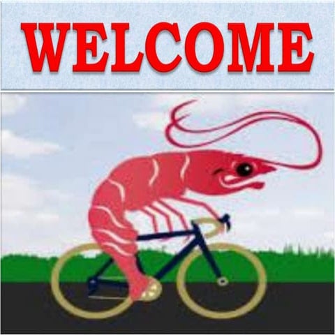 PRAWN FISHERY & DIFFERENT SPECIES OF PRAWN IN INDIA