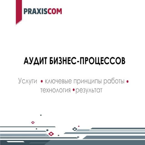PraxisCom аудит бизнес процессов
