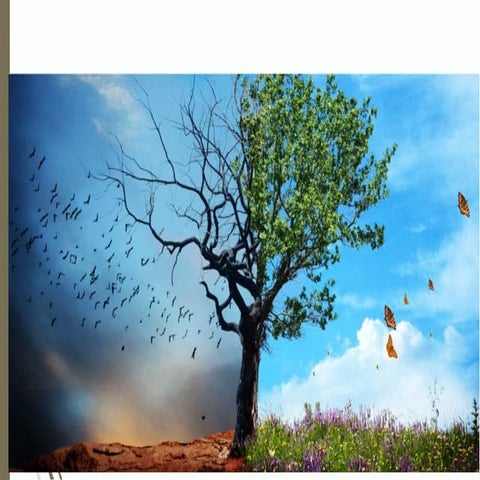 Prazeres e penas terrenos | PDF
