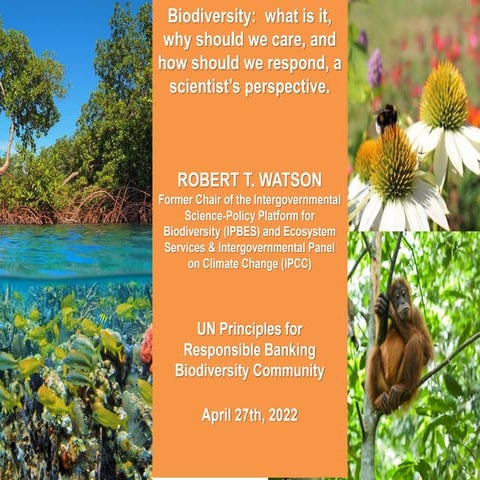 PRB_Bob-Watson_Why-Banks-should-Care-about-Biodiversity_April-2022.pdf