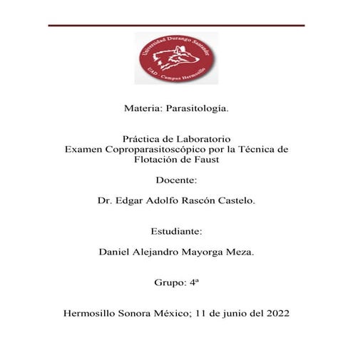 Práctica - CPS TECNICA DE FAUST l.pdf