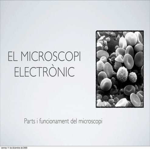 34. El microscopi electrònic
