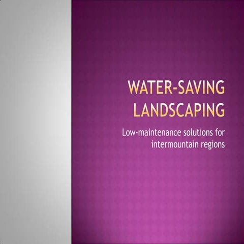 HCD-LISSETTE MACIAS LEMOS 