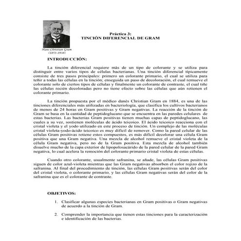 Práctica 3 tinción de gram