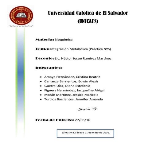 Práctica 5   integración metabólica