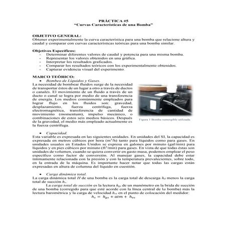Práctica 5 Curvas Características de una Bomba