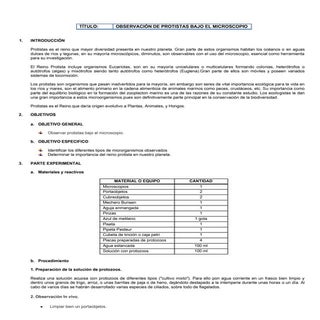Práctica 6 (observación de protozoos)