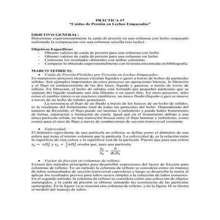 Práctica 7 Caídas de Presión en Lechos Empacados