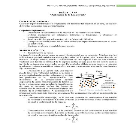 Práctica 9 Aplicación de la Ley de Fick