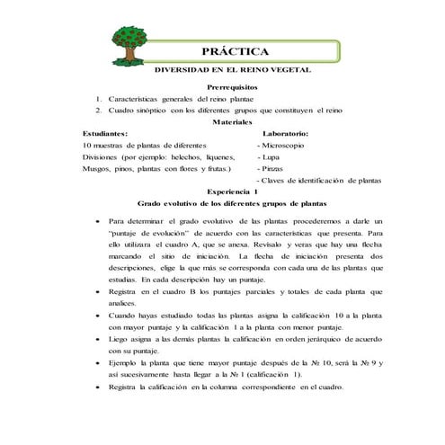 Práctica de diversidad en el reino vegetal