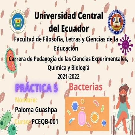 Las Bacterias: Tinción de Gram 