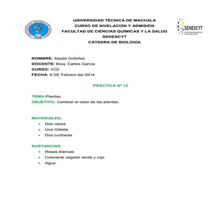 Practica 12 | DOCX