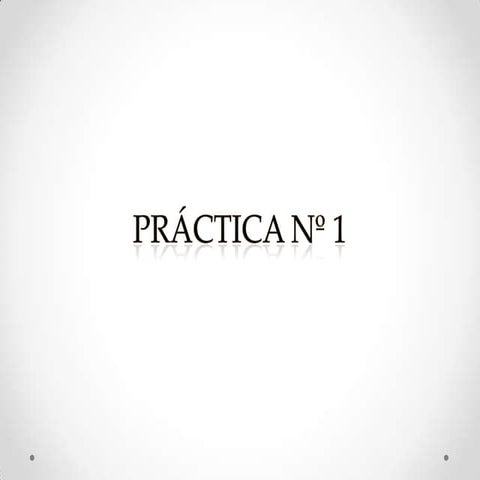 Práctica Nº 1 informatica