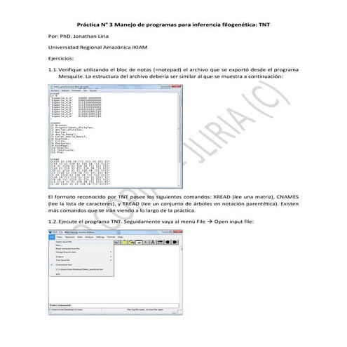 Práctica n3 Cladística UCE