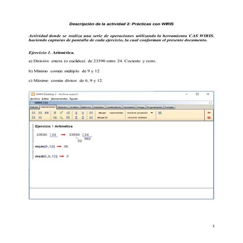 Prácticas con wiris | DOCX