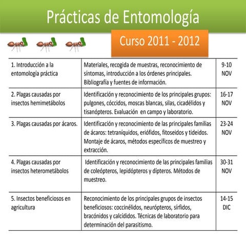 Prácticas de entomología