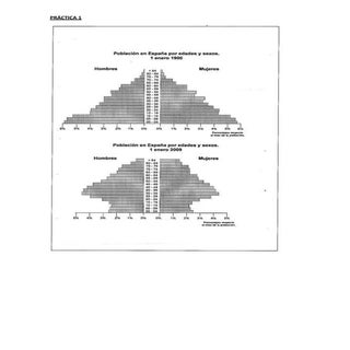 Prácticas poblacion P.A.U.