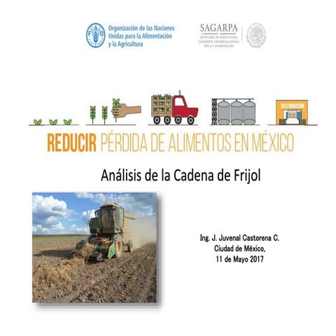 Análisis de la Cadena de Frijol